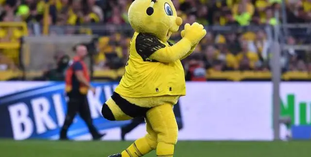 其中大约一, 的女足赛事 其中大约一, 的女足赛事